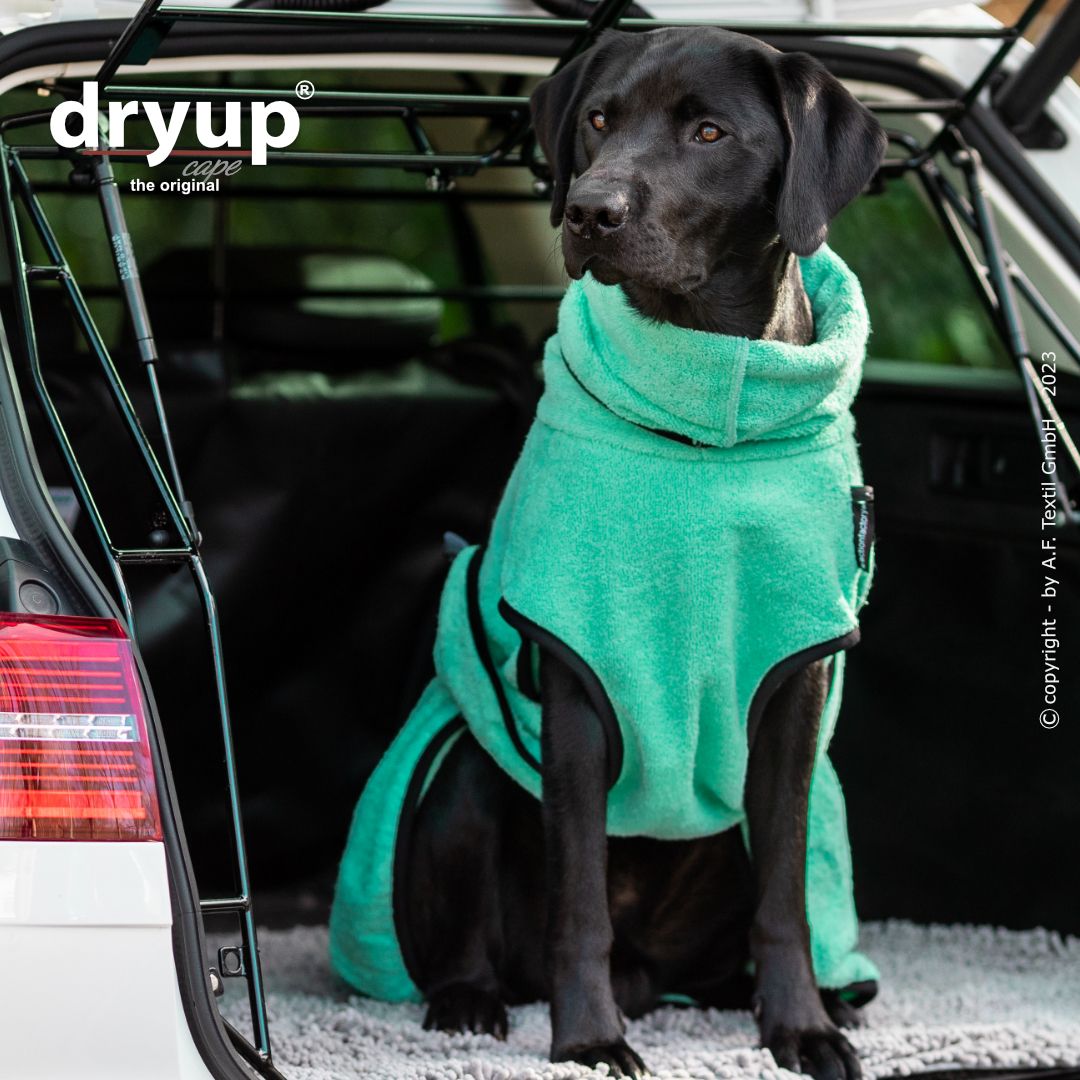 Dryup cape - Mint